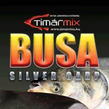 Busa Seria